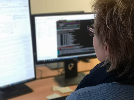Anwendungsentwicklerin Programmiererin vor zwei Bildschirmen mit Programmiercode